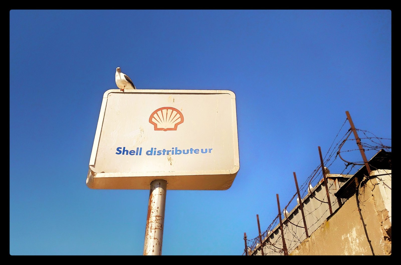 Fuel Dispatcher - Casablanca port