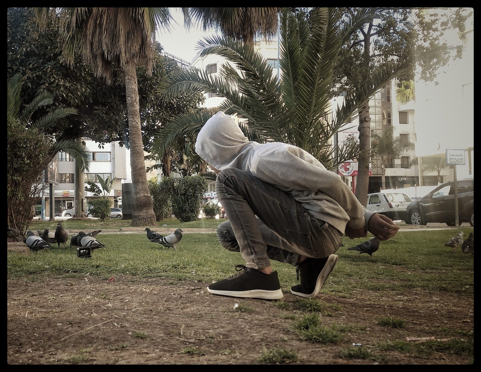 Young boy watching pigeons
